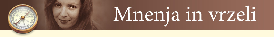 Mnenja in vrzeli
